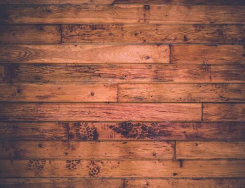 New Year, New Home: 2024 Flooring Trends Set to Shine